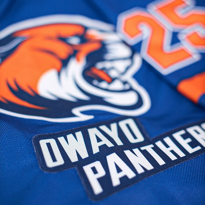 Close-up of a blue sports jersey featuring a tiger logo and the number 25.