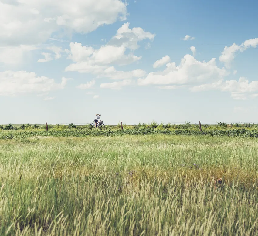 A cyclist riding through a rural landscape with tall grass and a blue sky, symbolizing ecological responsibility and outdoor activities.