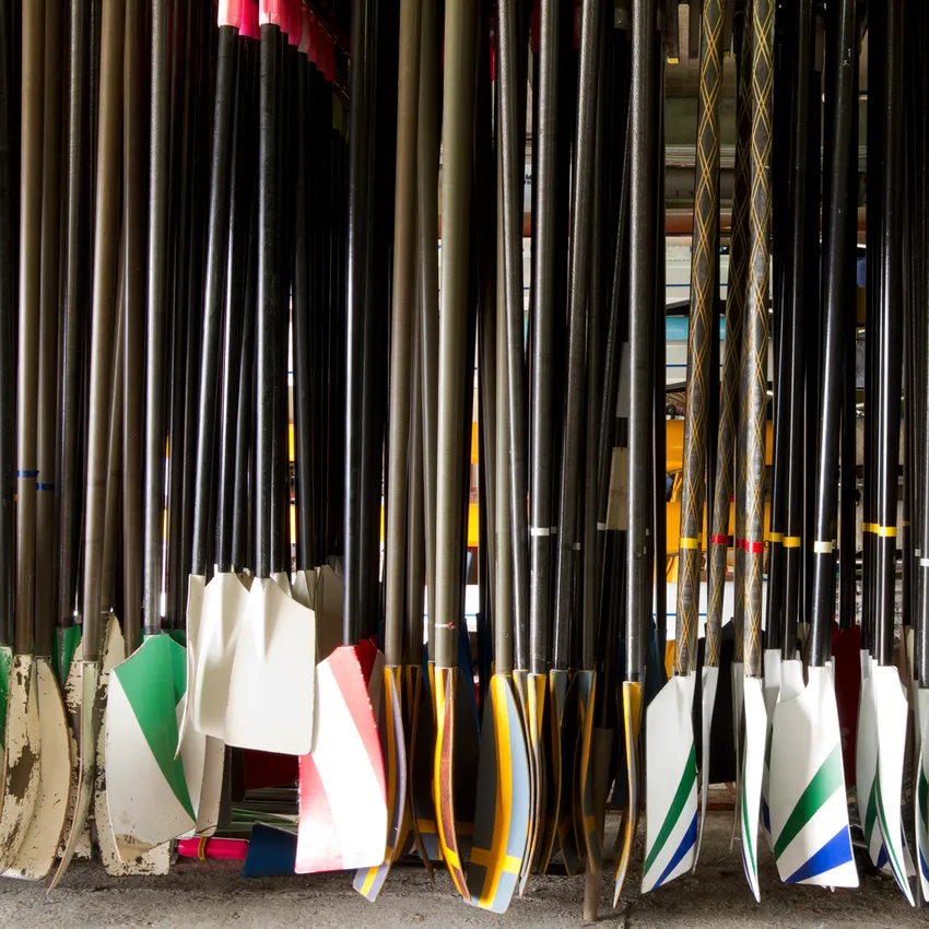 A collection of rowing blades in various colors and patterns stored in a rowing shed.